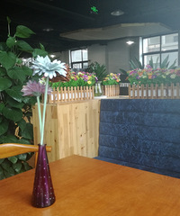 ���˵ĳ�����19¥�ĸ��� ��ҵ���ʺϴ���һ����