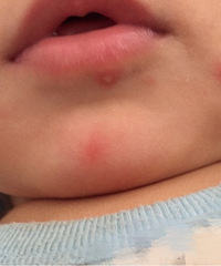 ������ͱ��ϳ��˶���һ���Ķ���