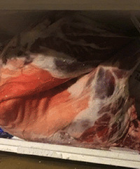 ���Ѽ���Ϧ���� ��һ���Ǿ��䶳ʬ�壡