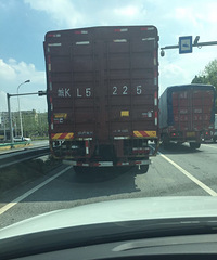 �ڶ����壿·�������ͻȻ�úڲ���ס����...