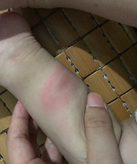 ��������Ī�����ֺ��