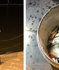 ����ĳ������Ȼ���˵��㣡����һ��Ͱ