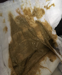 5���±����ոճ��̷� �����ܳ�����ɫ���