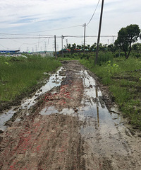 ����Ұ��ʩ����ˮ��·������· �಻����...