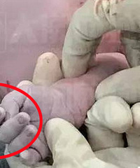 ����һ�������� ����������Ľ���������