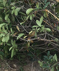 ײ��·��һС��  �ϰ忪��1000�࣡