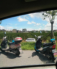 ����·�ˣ�������һС�γ���ֱ�ӳ�����