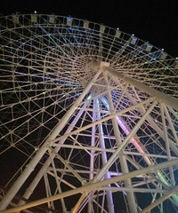 ��Ϧȵ�Ż�~һ����ɫ����