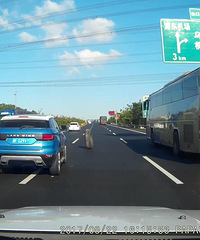 ������ͻȻ����һֻ����̥�������������������