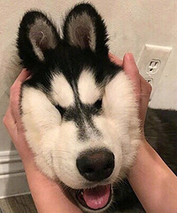 ĳЩ��������� ��Ҫ��������ʱ������ӷ������Ϲ���