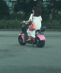 ��ǰ���ĵ綯�� ��̥����������̥������