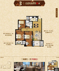 ���������Ŵ������