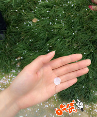 ����Ϧȵ�Ż᡿���Ű�Ц��������һ������̫�