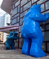 ����������˰۰������ֶ�һֻ��ɫ����