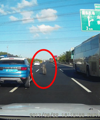 ������ͻȻӭ�����һֻ����̥��