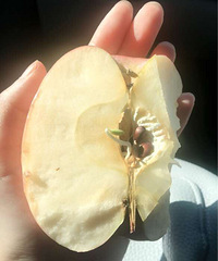 ƻ�����ų��� �����Ȼ��ѿ��...