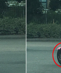 ��ǰ���ĵ綯�� ��̥����������̥������