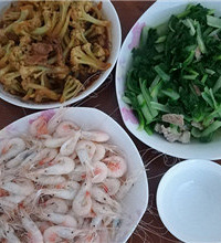 ��������ƫ�� �������߲˺���Ϻ