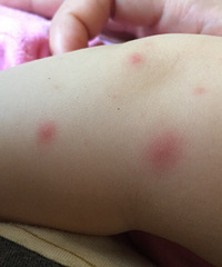 �Ÿ��±������϶��Ǻ��  ��������ģ�