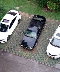 С����λ���� �н�ʬ����ʱ��ռ˫��λ������ͣ����