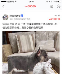 ���˻�ò��繷ϵ�С�����û���� ��һֻС����450000��