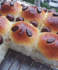 æ��һ��������3����� Ч�����޵�