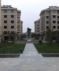 �����˰�Ǩ  ������õ������ˣ�