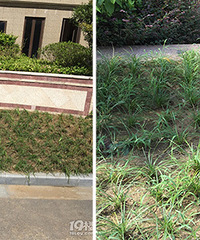 ĳС����ҵ��Ȼ��С�����������