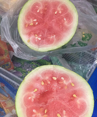 �����ϵ��̬�Ⱥò�붯�ִ��� ��Ʊ����վ����������