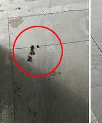 ����ĳС�������й�ʺ ��ש�������