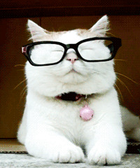 ��ʺ��ע�⣡���������졢���������ʳ��Ҫ�Ŀ�����