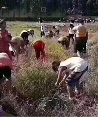 �����Ǹ�����Ŀ�ѧ��һ�죡������