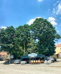 һ�ζ������������