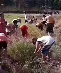 Сʱ��ѧ��һ����ȥ޶�� ���ѣ������밢������ɨ����