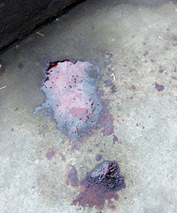 �����ұ�������ɫ���ꡰ��ƴ  ���Գ�Ѫ