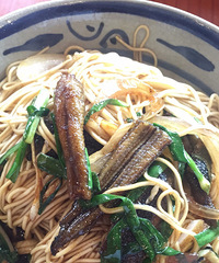 ������ �����˹�Ȼ���벻����