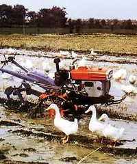 �������źü��ιβ� ��ε���ֱ��ײ����ȥһ�飡��ù��