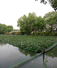 �����Ϻ����������� �������겻�Ǽۣ�