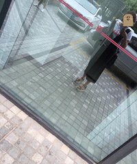 �������������Ҹ����ȵ� ��������175��