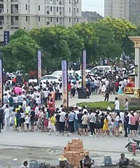 �ͳ��ۻ��������Ŷ�ʢ�� ��ֱ��ɽ�˺���