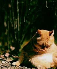 ����ʧ�ܲ������� ����µ����������ž�ϰ����...