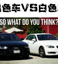 ��ѡ��ɫ���û��Ǻ�ɫ���ã�