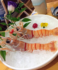 ���ڰβ�������������ϵ� ����С�绹ר�Ž����ǰ�Ϻ