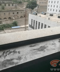 �и��������ʸ�����������ξܾ� ��¥��ɱ����