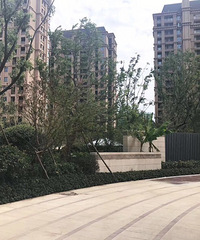 ���¥����ô����