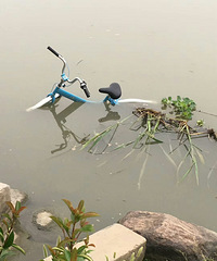 ����̫�� �����̵���һ��С������Ӿ