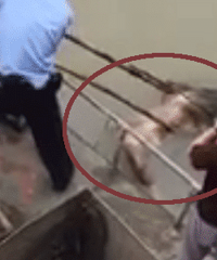 ͻ�����º�����ʧ����ˮ