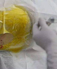 31�������Ůʿ�ڲ�����ֱ������Ҫʹ���ˣ�