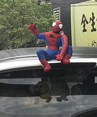 ������ �ҿ���֩����������