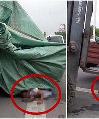 �ң�����һС�ﱻ�Լ��Ļ��ﵱ��ѹ����